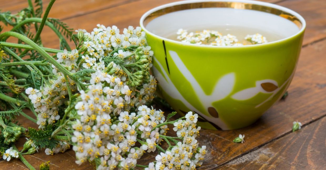 A tea made of the medicinal plant yarrow.