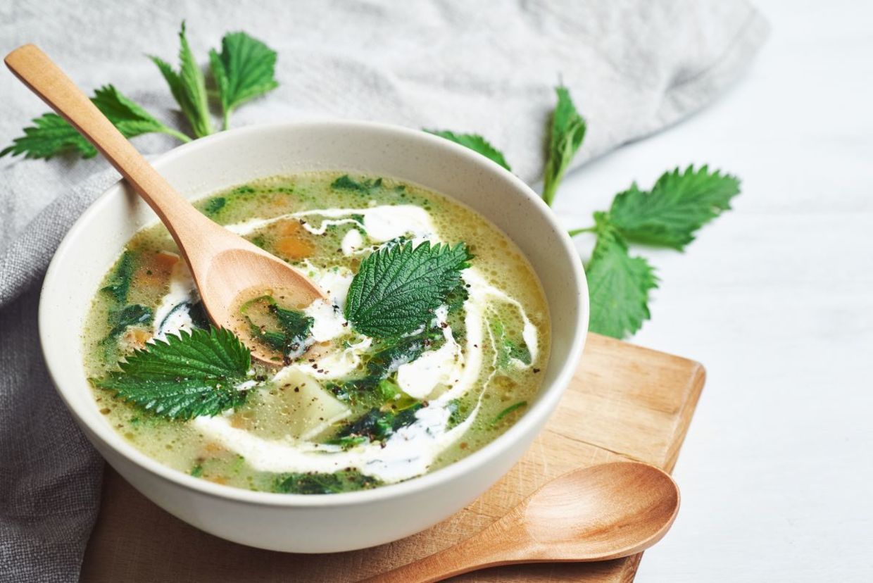 Vegan nettle soup .