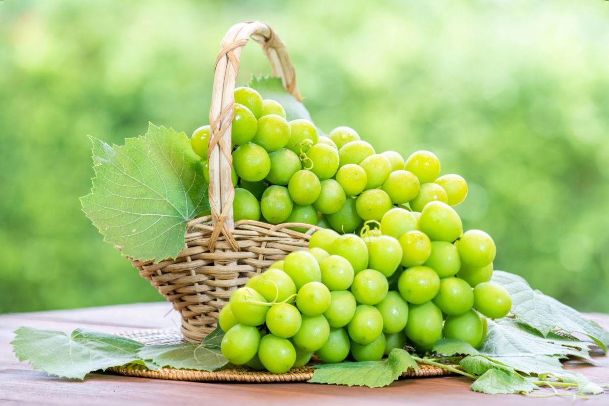 Ripe green grapes.