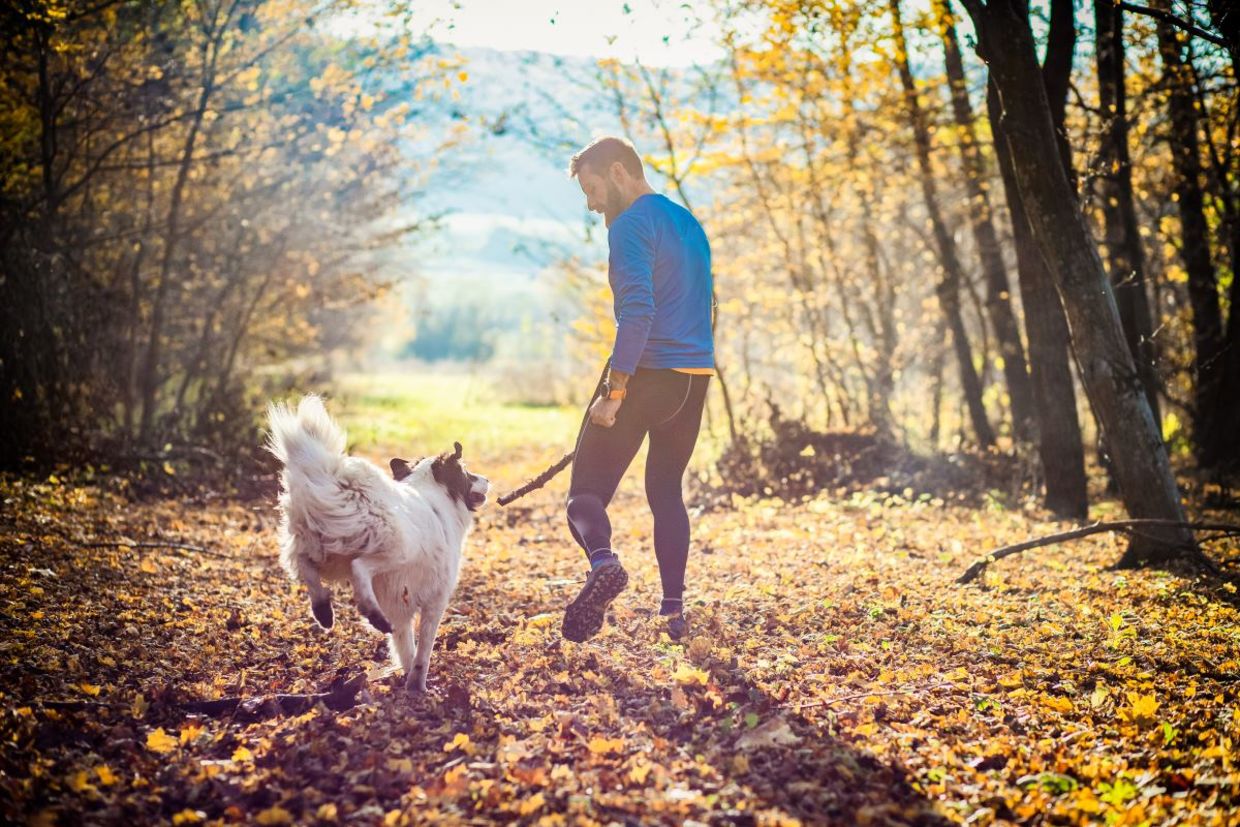 Taking a walk in a park.