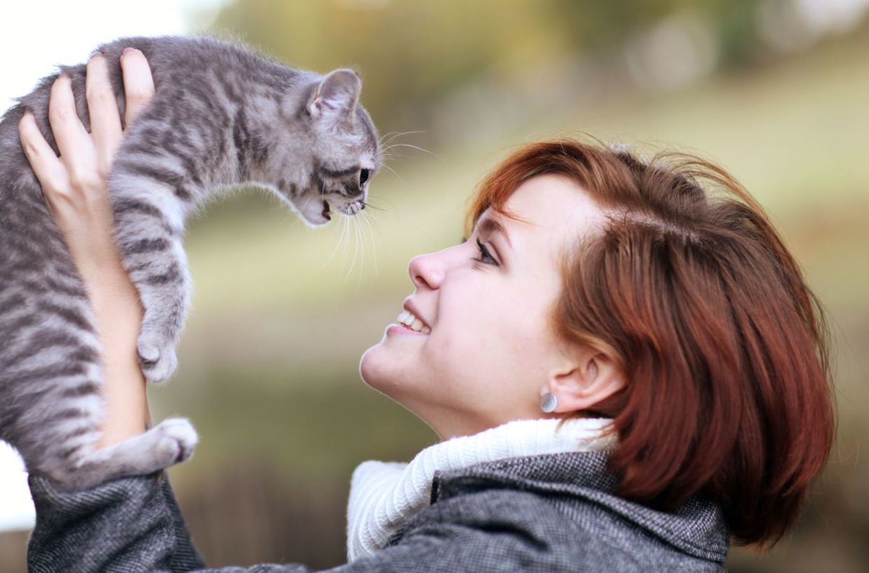 Making friends with a cat.