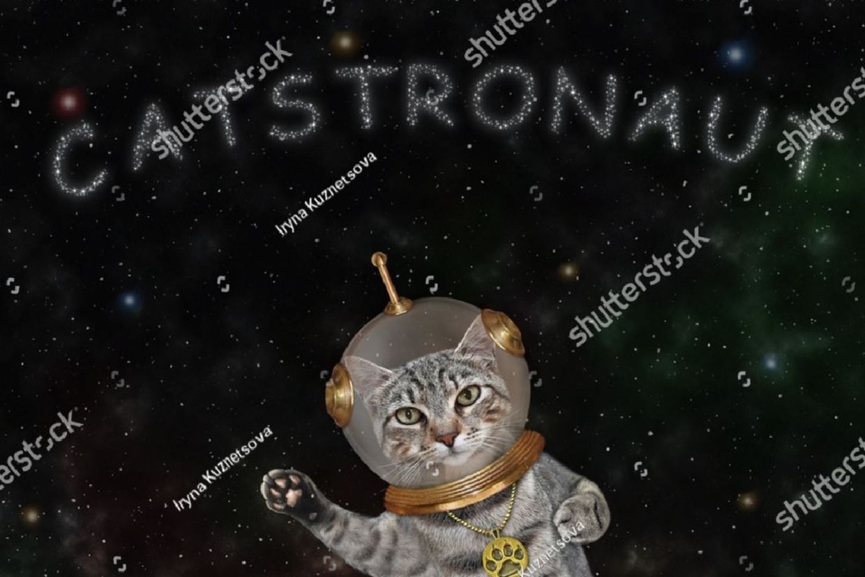 Cat astronaut..