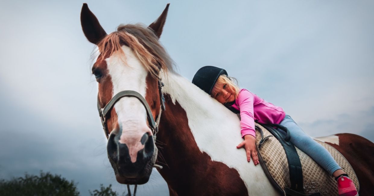 Riding horses can be therapeutic for many people.