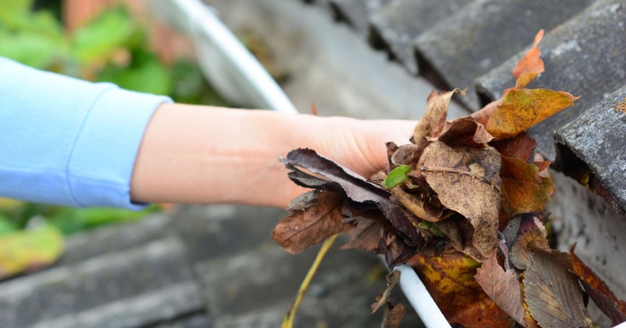 Clean out your gutters to keep moisture out.