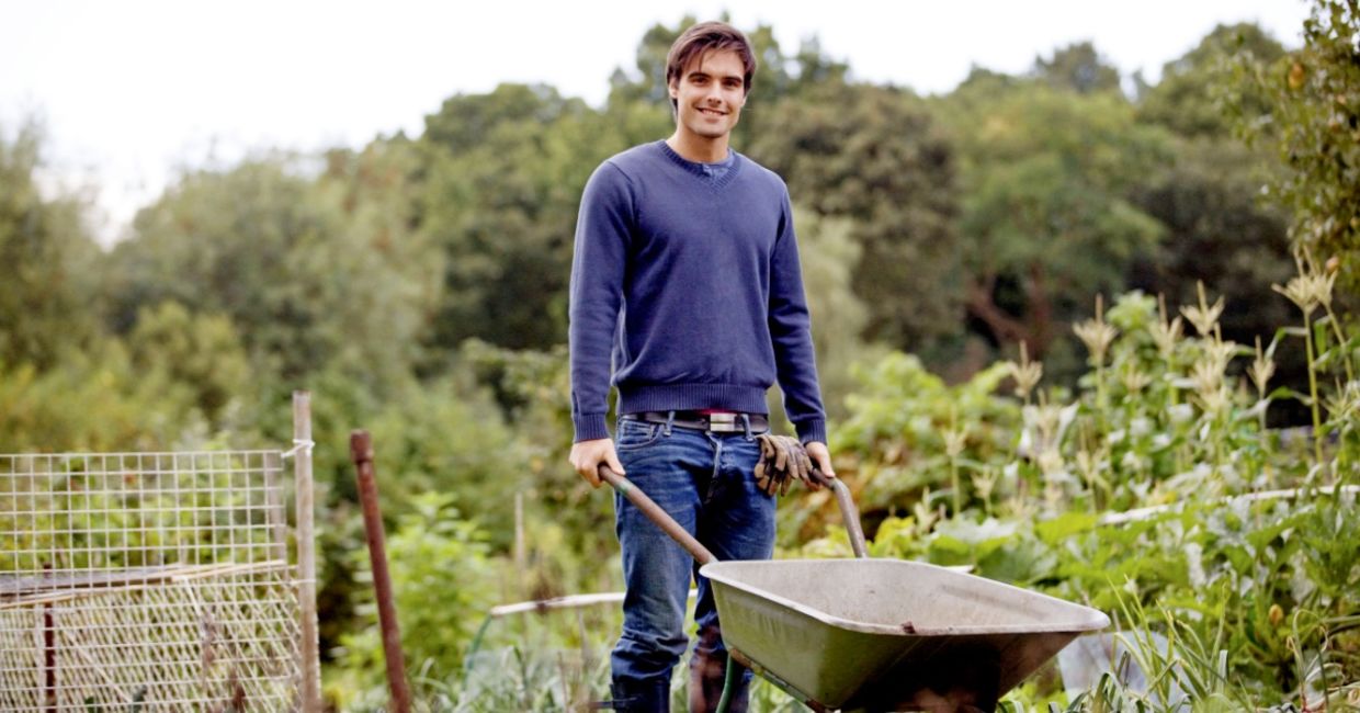 A young man pushing a wheelbarrow on an allotment.