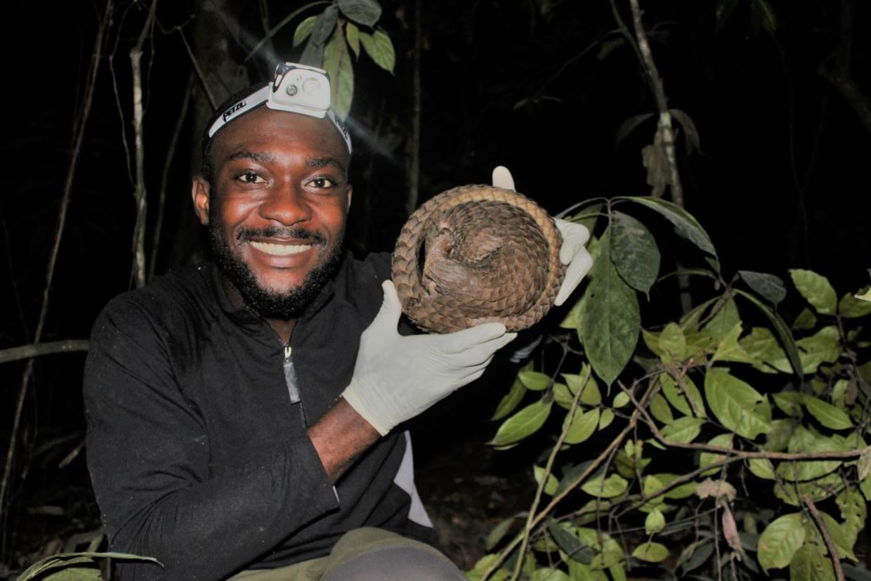 Charles Emogor helps protect the white-bellied pangolin.