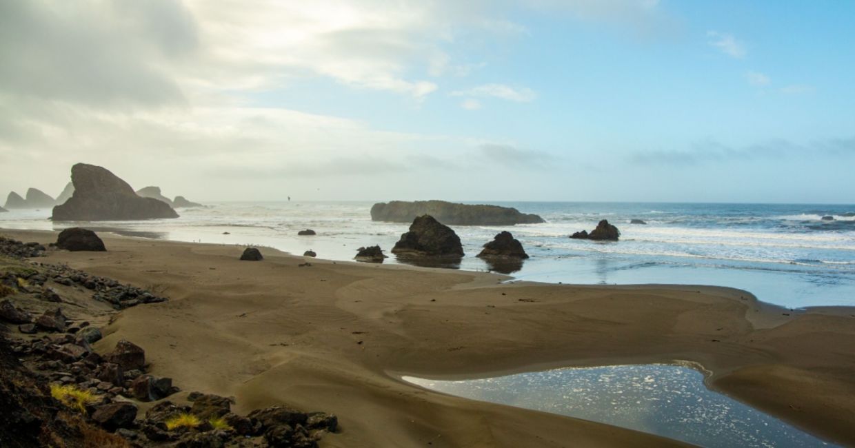 A dream-like beach on the West Coast of America on a calm and foggy day.