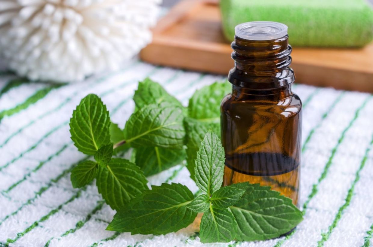 Peppermint essential oil.