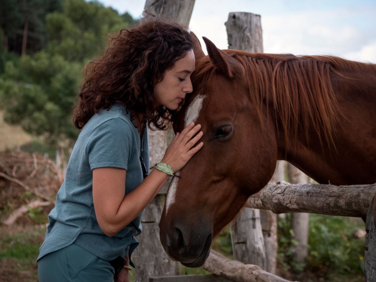 Equine therapy helps people disconnect from trauma.