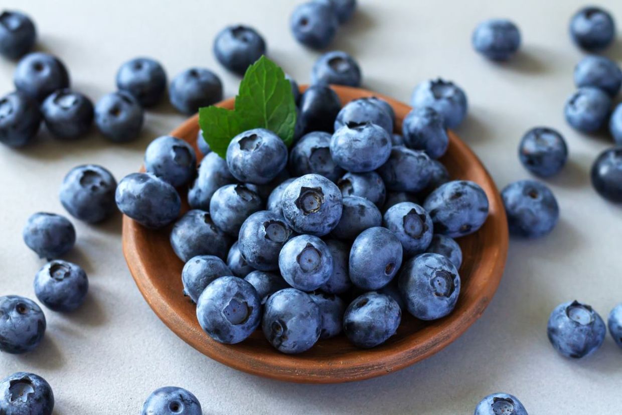 Fresh blueberries are full of nutrients.