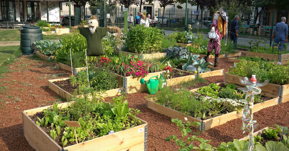 Meet the First Library Farm - GOODNET | Gateway to doing good