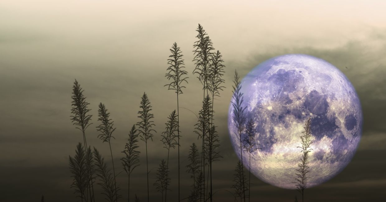 Full Beaver Moon.