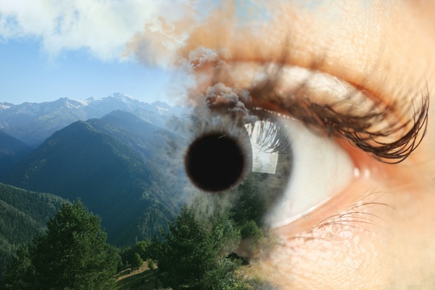 Vision.
