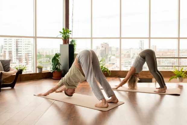 Upward and downward pose.