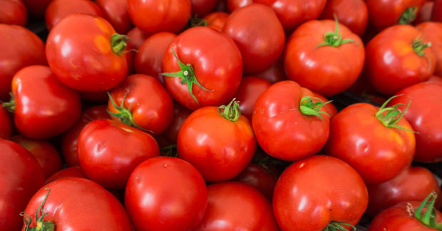 Tomatoes