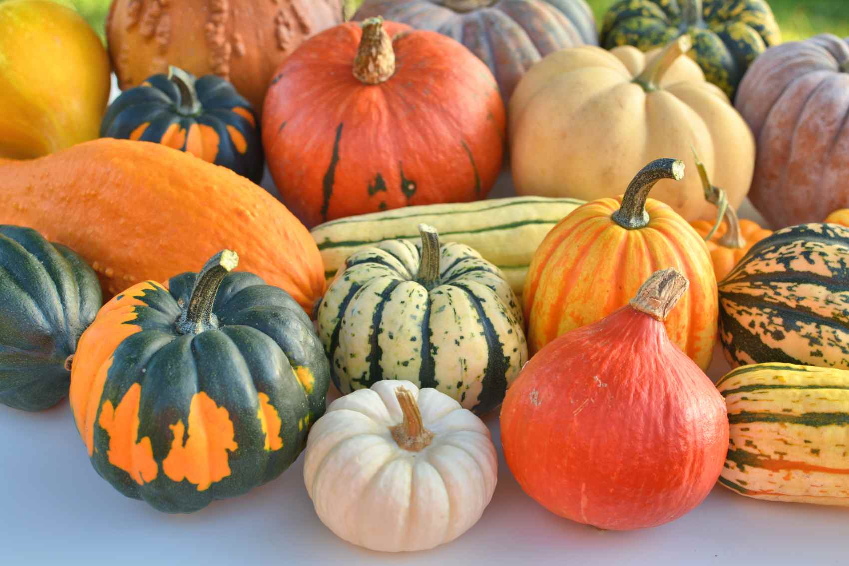 Squash Color 7 Healthy Winter Squash to Try This Fall Season - GOODNET | Gateway to ...
