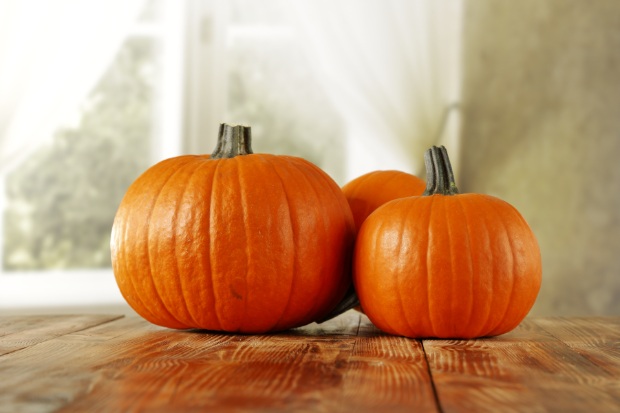 Sugar pumpkins are great for baking.