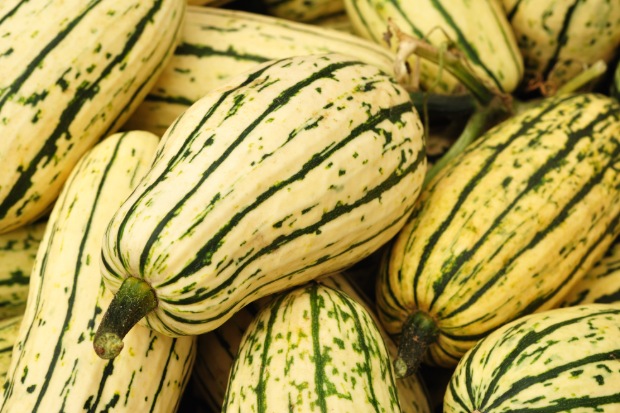 Delicata squash is a healthy choice.