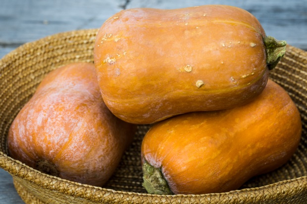 Just picked honeynut squash in a basket.