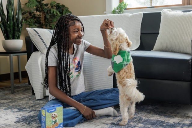 Patch Pals for dogs.