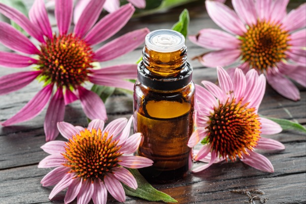A tincture of echinacea.